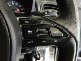 ステアリング右側には、運転支援機能を手元で操作できるスイッチ類を配置しています