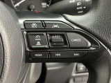 前方の車との車間を設定し、スピードを上げたり緩めたりを自動で行ってくれる追尾式の「レーダークルーズ」。上級装備の一つです!高級車にしかつかない嬉しい機能です。