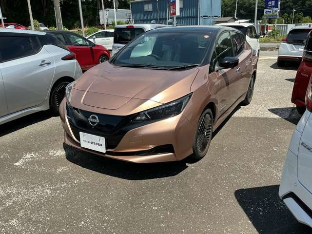 日産 リーフ 