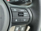 ◆アダプティブクルーズコントロール◆予め設定した車速内でクルマが自動的に加減速。前走車との適切な車間距離を維持しながら追従走行します。【LKAS】車線維持支援システムでステアリング操作を支援。
