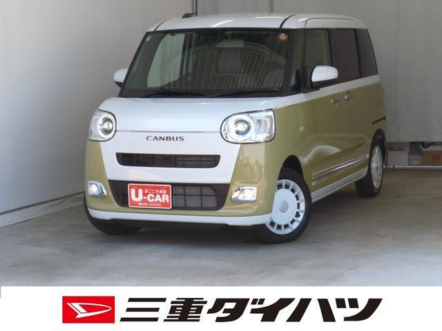 ムーヴキャンバス  ストライプス G