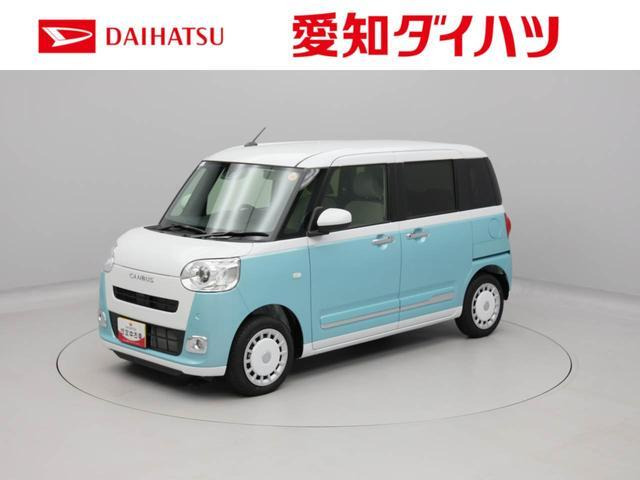 ムーヴキャンバス  ストライプス G