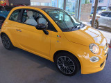 500C ミモザ