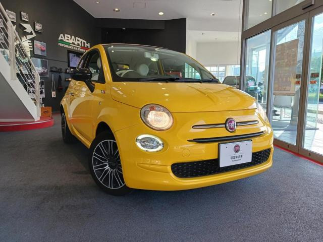 500C ミモザ 
