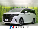 禁煙車 左右独立ムーンルーフ 純正14型ナビ 全周囲カメラ フルセグ