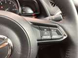 アクセルペダルを踏まなくても車速を約30から100km/hの間に設定できる装置です。高速道路、加速/減速の繰り返しが少ない自動車道などで使用すると、とても快適なドライブができますね♪