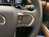 前方の車との車間を設定し、スピードを上げたり緩めたりを自動で行ってくれる追尾式の「レーダークルーズ」。上級装備の一つです!高級車にしかつかない嬉しい機能です。