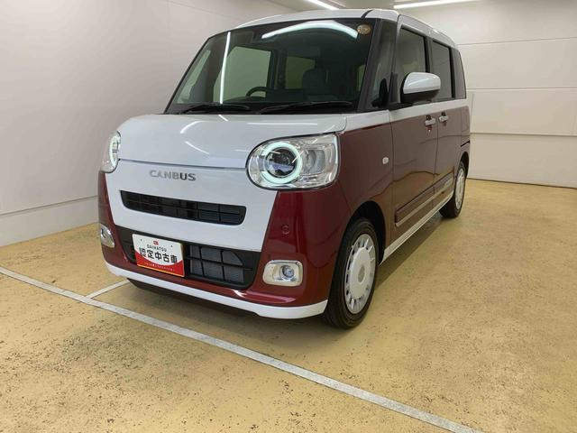 ムーヴキャンバス  ストライプス G