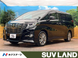 ツインムーンルーフ フリップダウンモニター 禁煙車 BIGX11型ナビ