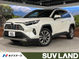 純正10型ナビ 全周囲カメラ デジタルミラー 衝突軽減 レーダークルーズ