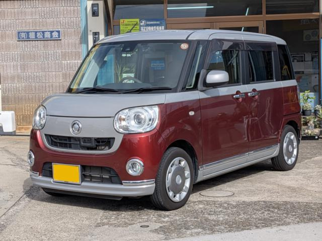 ムーヴキャンバス G メイクアップ SAII