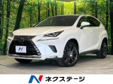 純正10型ナビ 全周囲カメラ 衝突被害軽減システム レーダークルーズ