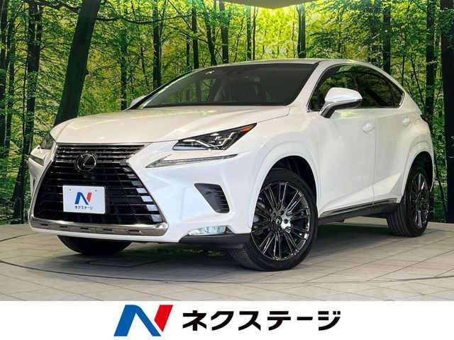 NX 200t Iパッケージ 