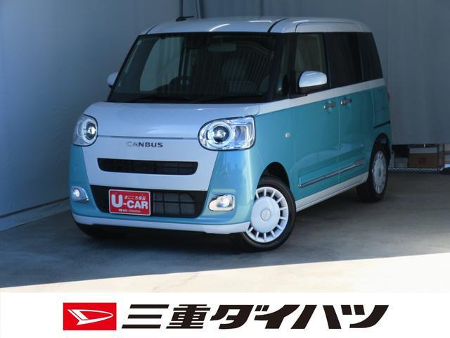 ムーヴキャンバス  ストライプス G