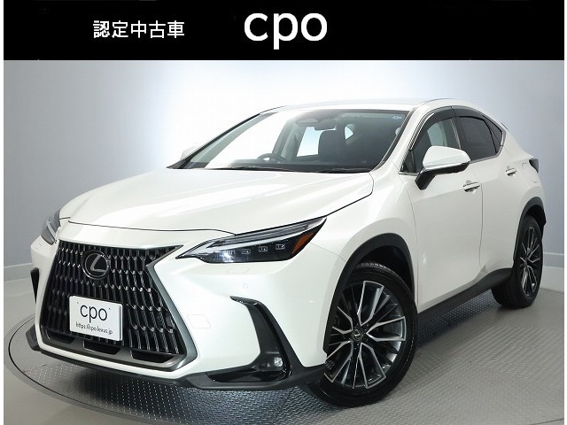 NX 250 バージョンL 4WD
