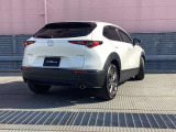 SUVであるCX-30のデザインコンセプトは「Sleek & Bold」。「Sleek(滑らかさ)」と「Bold(大胆さ)」をミックスさせ、クーペのような伸びやかな美しさとSUVらしい力強さの融合を目指しています。