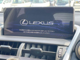 NX 300 