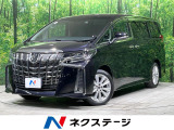 後席モニター 両側電動ドア バックカメラ 衝突軽減 レーダークルーズ