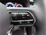 前車追従機能付きのレーダークルーズを備えています。自動で車間距離を調整してくれますので、アクセル操作の疲労軽減に繋がります。特に長距離を帰省される方にはお奨めですよ。