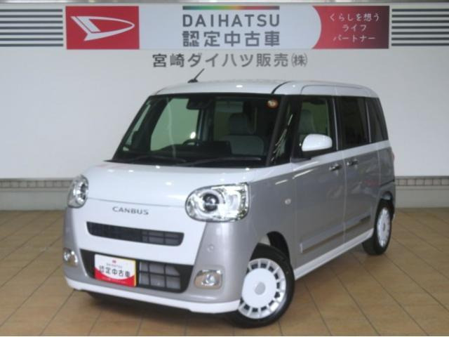 ムーヴキャンバス  ストライプス G