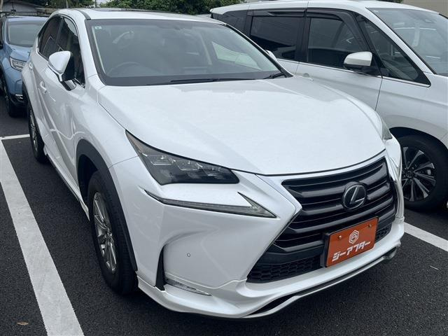 NX 300h Iパッケージ 