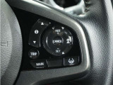 ◆アダプティブクルーズコントロール◆予め設定した車速内でクルマが自動的に加減速。前走車との適切な車間距離を維持しながら追従走行します。【LKAS】車線維持支援システムでステアリング操作を支援。