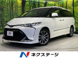 両側電動ドア 純正9インチナビ 後席モニター バックカメラ 寒冷地仕様
