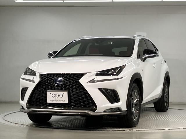 NX 300h Fスポーツ