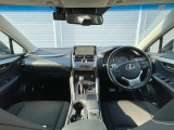 NX 300 