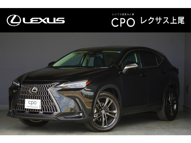 NX 250 バージョンL 4WD 