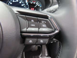 前車追従機能付きのレーダークルーズを備えています。自動で車間距離を調整してくれますので、アクセル操作の疲労軽減に繋がります。特に長距離を帰省される方にはお奨めですよ。