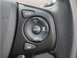 ◆アダプティブクルーズコントロール◆予め設定した車速内でクルマが自動的に加減速。前走車との適切な車間距離を維持しながら追従走行します。【LKAS】車線維持支援システムでステアリング操作を支援。