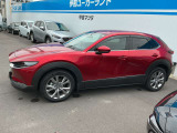 コンパクトサイズの使い勝手の良いSUV!