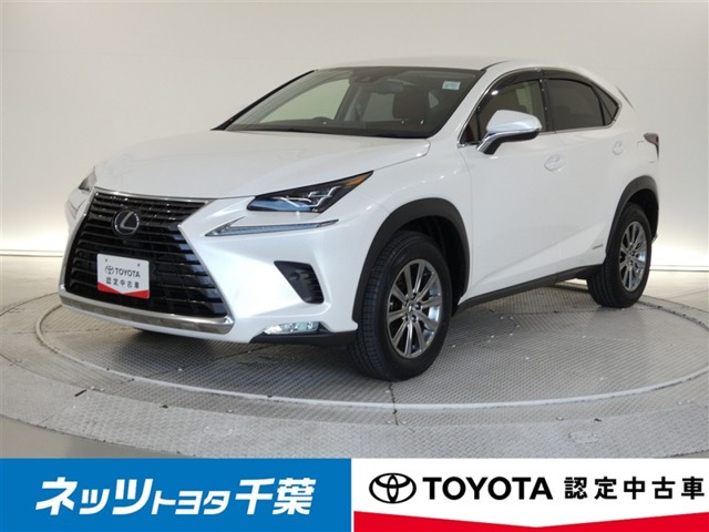 NX 300h Iパッケージ 