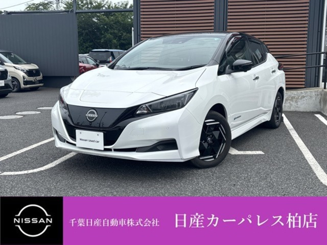 リーフ e+ X