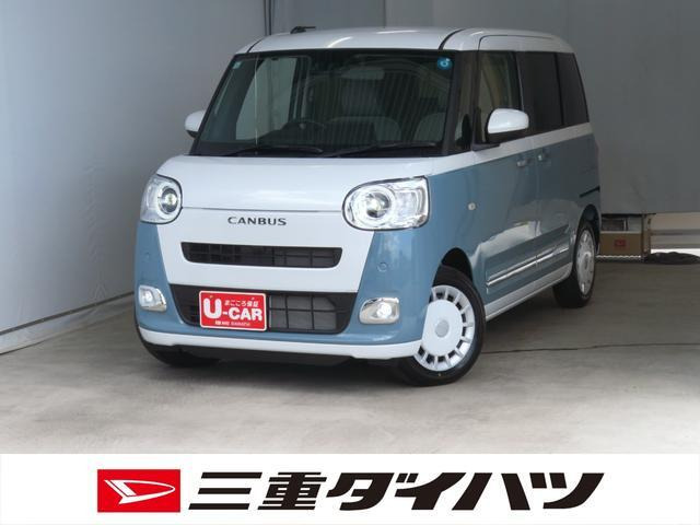 ムーヴキャンバス  ストライプス G