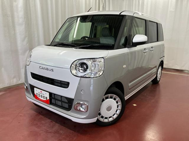 ムーヴキャンバス  ストライプス G