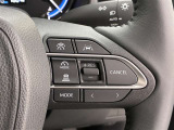 前方の車との車間を設定し、スピードを上げたり緩めたりを自動で行ってくれる追尾式の「レーダークルーズ」。上級装備の一つです!高級車にしかつかない嬉しい機能です。
