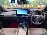 UX 250h グレイスフル エクスプローラー 