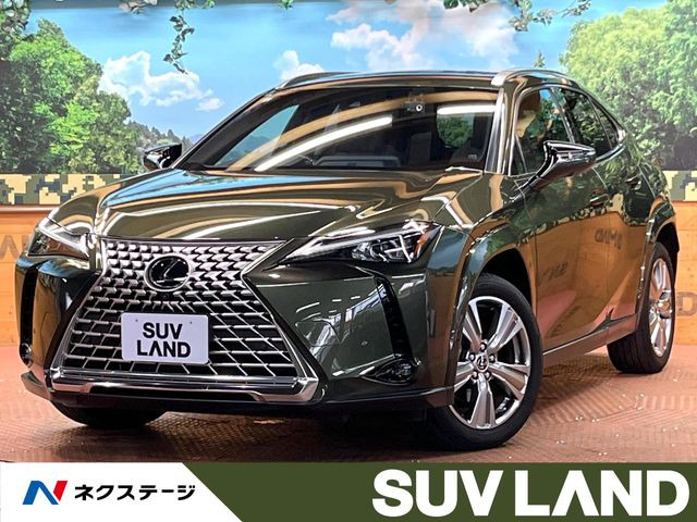 UX 250h グレイスフル エクスプローラー 