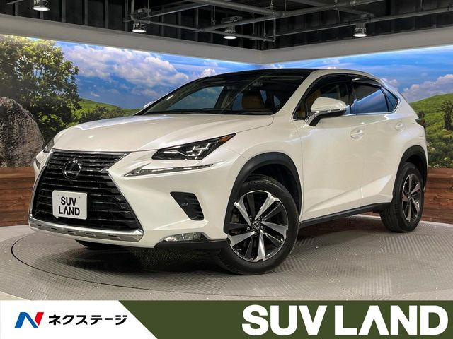 NX 200t Iパッケージ 