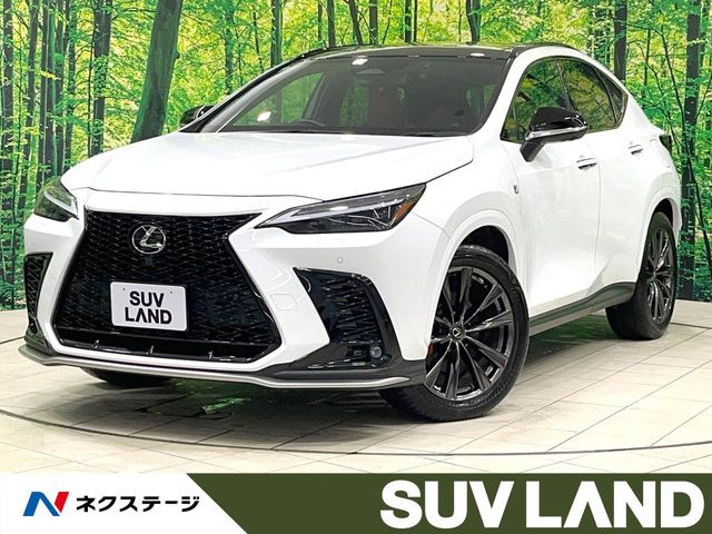 NX 350h Fスポーツ 