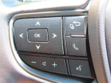 ブルートゥースに接続すれば、スマホに入れている音楽が聞けたり運転中に電話がかかってきてしまった場合もハンドルから電話を取ることができます!