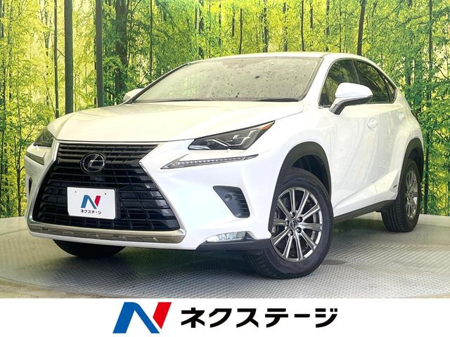 NX 300h Iパッケージ