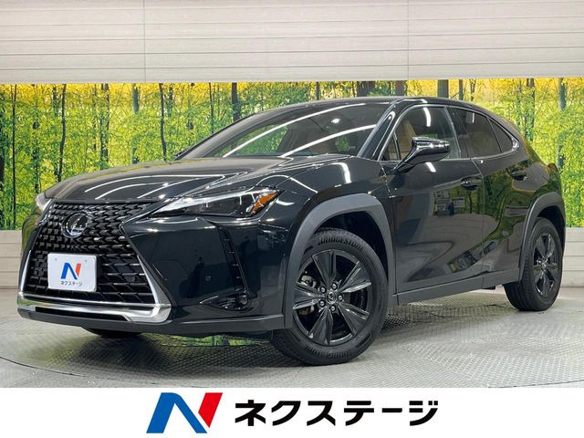 UX 250h バージョンC