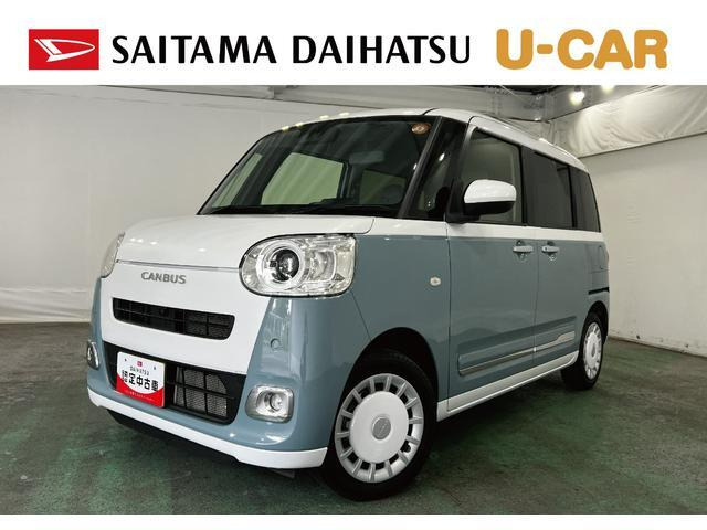 ムーヴキャンバス  ストライプス G