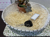 キーレスエントリー 離れたところからワンタッチで施錠・解錠ができるので便利です