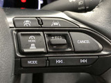 前方の車との車間を設定し、スピードを上げたり緩めたりを自動で行ってくれる追尾式の「レーダークルーズ」。上級装備の一つです!高級車にしかつかない嬉しい機能です。