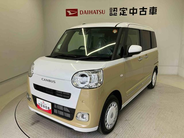 ムーヴキャンバス  ストライプス G