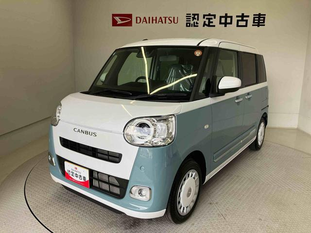 ムーヴキャンバス  ストライプス G